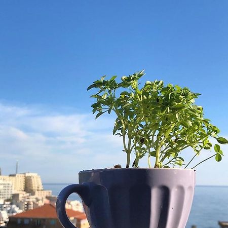 Studio Apartments Kul Budva Eksteriør bilde