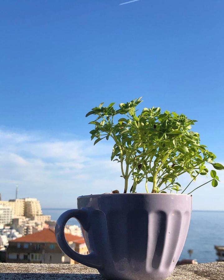 Studio Apartments Kul Budva Eksteriør bilde